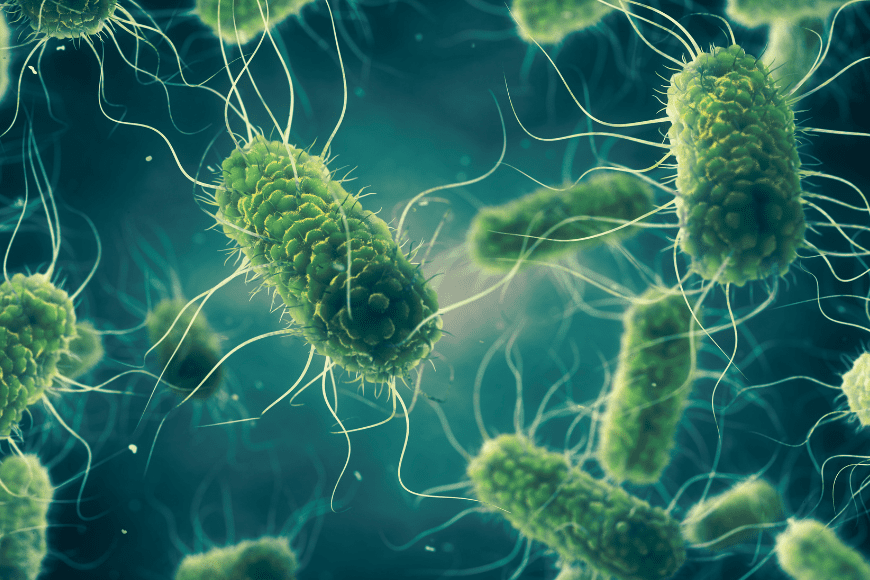 microbe