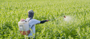 4 Tipos De Contaminación Alimentaria