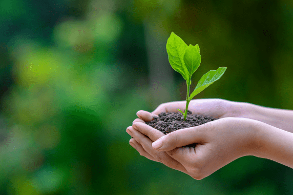 Sustainability with Dycem