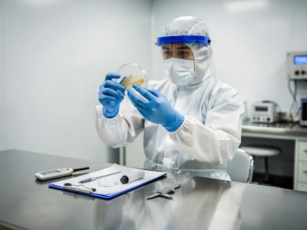 Techniker im Reinraumanzug untersucht Petrischale unter Laborbedingungen, sterile Edelstahloberflächen und Klemmbrett im Hintergrund.